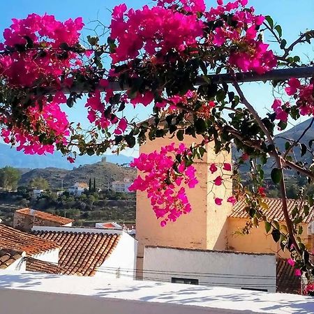 Bédar Casa Caballito De Mar Boutique B&B מראה חיצוני תמונה