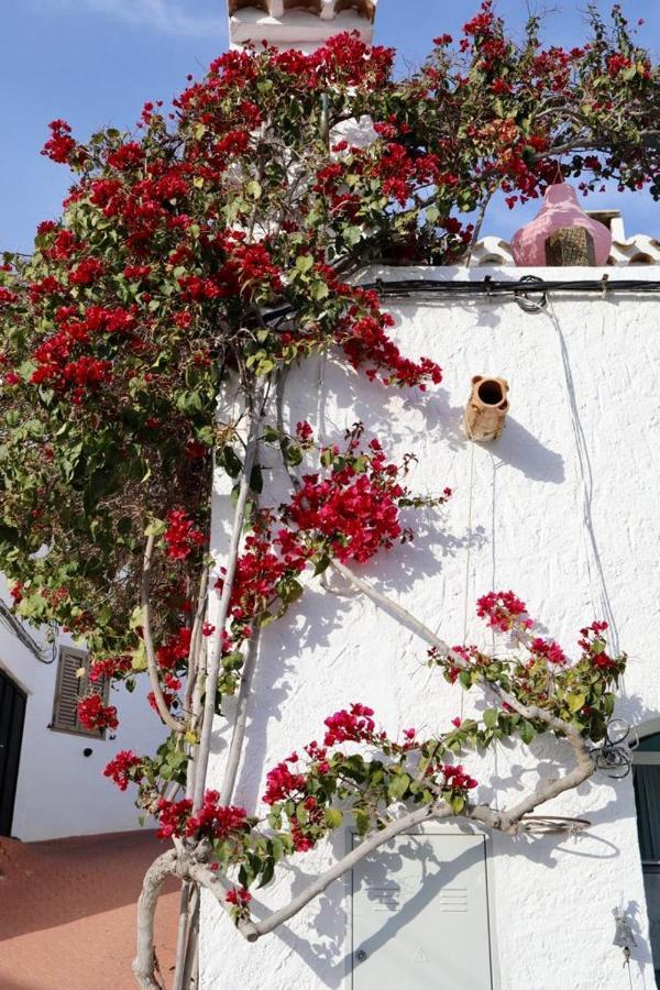 Bédar Casa Caballito De Mar Boutique B&B מראה חיצוני תמונה