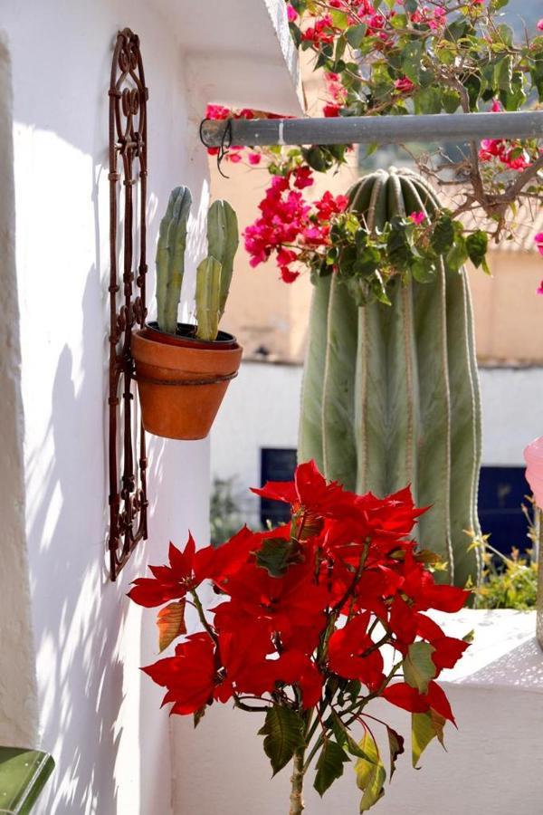 Bédar Casa Caballito De Mar Boutique B&B מראה חיצוני תמונה