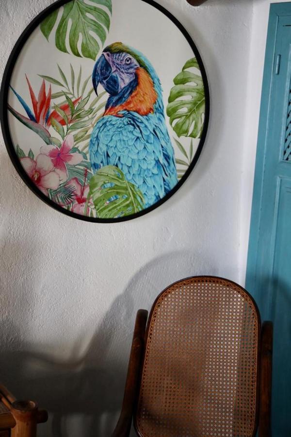 Bédar Casa Caballito De Mar Boutique B&B מראה חיצוני תמונה