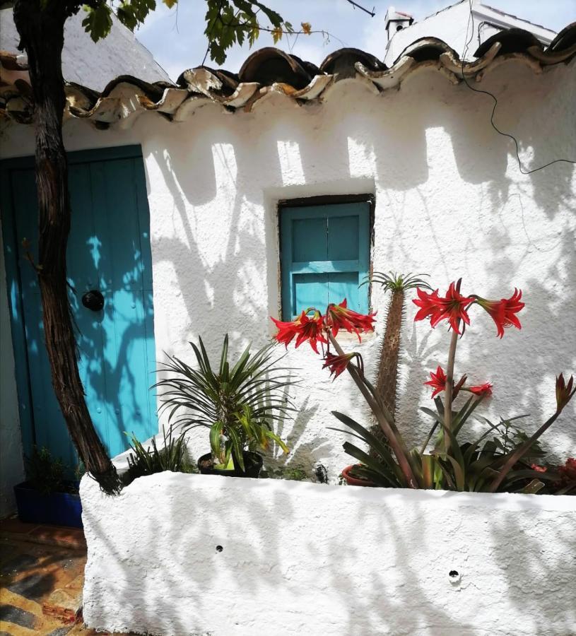 Bédar Casa Caballito De Mar Boutique B&B מראה חיצוני תמונה