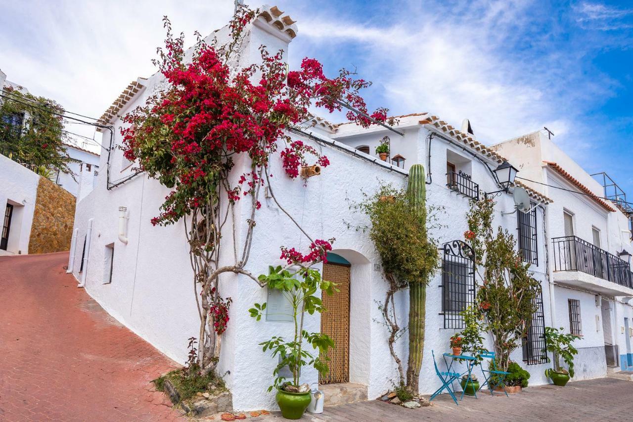 Bédar Casa Caballito De Mar Boutique B&B מראה חיצוני תמונה