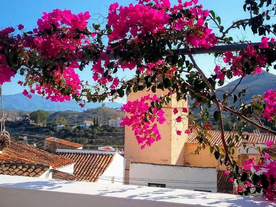 Bédar Casa Caballito De Mar Boutique B&B מראה חיצוני תמונה